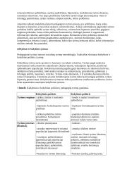 Pedagoginio tyrimo samprata 2 puslapis