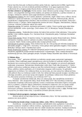 Politologija (konspektas) 6 puslapis