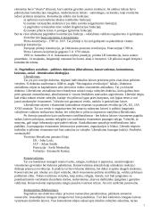 Politologija (konspektas) 7 puslapis