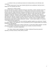 Politologija (konspektas) 9 puslapis