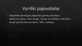 Protokoliniai aprangos reikalavimai 17 puslapis