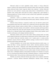 E-parduotuvės sukūrimo verslo plano įgyvendinimo galimybių vertinimas 12 puslapis
