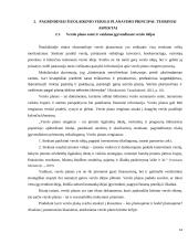 E-parduotuvės sukūrimo verslo plano įgyvendinimo galimybių vertinimas 16 puslapis