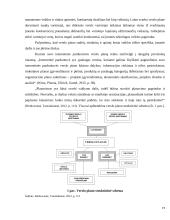 E-parduotuvės sukūrimo verslo plano įgyvendinimo galimybių vertinimas 19 puslapis