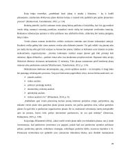 E-parduotuvės sukūrimo verslo plano įgyvendinimo galimybių vertinimas 20 puslapis