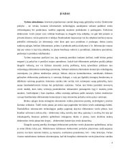 E-parduotuvės sukūrimo verslo plano įgyvendinimo galimybių vertinimas 3 puslapis