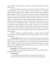 E-parduotuvės sukūrimo verslo plano įgyvendinimo galimybių vertinimas 4 puslapis