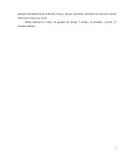 E-parduotuvės sukūrimo verslo plano įgyvendinimo galimybių vertinimas 6 puslapis