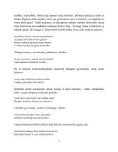 Lietuvių kalbos epochų ir autorių konspektas 7 puslapis