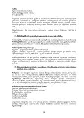 Sveikatos ugdymo išsami teorija 11 puslapis