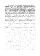 Ieva Simonaitytė rašinys