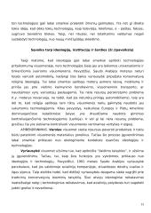 Tarptautinio verslo teorija 13 puslapis