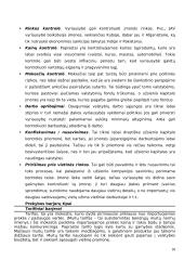 Tarptautinio verslo teorija 18 puslapis