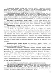 Tarptautinio verslo teorija 19 puslapis