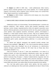 Tarptautinio verslo teorija 3 puslapis