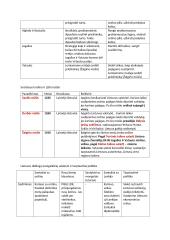 LDK istorijos konspektas 2 puslapis
