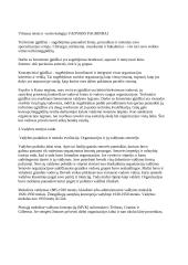 Vadybos pagrindų teorija egzaminui 12 puslapis