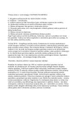 Vadybos pagrindų teorija egzaminui 15 puslapis