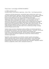 Vadybos pagrindų teorija egzaminui 4 puslapis