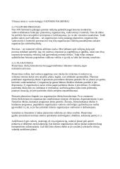 Vadybos pagrindų teorija egzaminui 7 puslapis