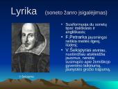 Renesanso epocha pristatymas 14 puslapis