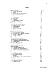 Verslo įvadas 2 puslapis