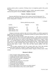 Verslo įvadas 11 puslapis