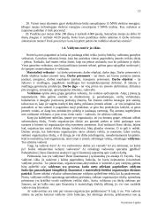 Verslo įvadas 13 puslapis