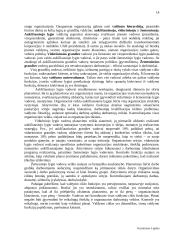 Verslo įvadas 14 puslapis