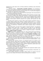 Verslo įvadas 16 puslapis