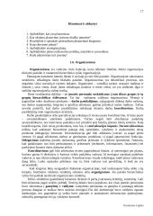 Verslo įvadas 17 puslapis