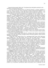 Verslo įvadas 18 puslapis