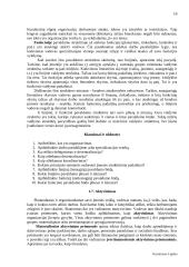 Verslo įvadas 19 puslapis