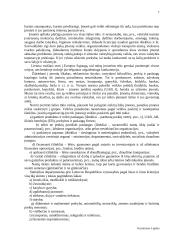 Verslo įvadas 7 puslapis