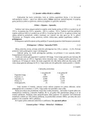 Verslo įvadas 9 puslapis