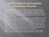 Adomas Mickevičius pristatymo skaidrės 13 puslapis