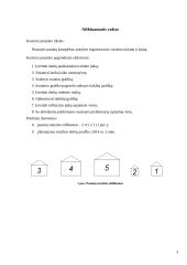 Statybos ekonomika ir organizavimas 3 puslapis