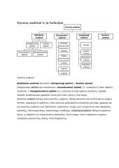 Augalų audiniai ir jų funkcijos konspektas 6 puslapis