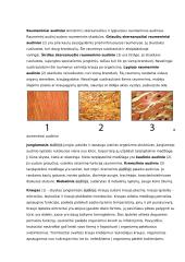 Augalų audiniai ir jų funkcijos konspektas 8 puslapis