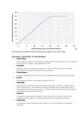 Fotosintezė ir jos reikšmė konspekas 8 puslapis