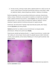 Osmoso reiškinio ir augalų ląstelių plazmolizės tyrimas 3 puslapis