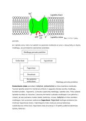 Osmoso reiškinio ir augalų ląstelių plazmolizės tyrimas 5 puslapis