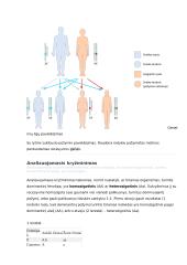 Kraujo grupių paveldėjimas konspektas 3 puslapis