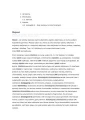 Lytinių ląstelių sandara ir prisitaikymas atlikti funkcijas konspektas 3 puslapis