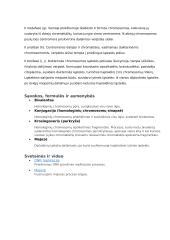 Lytinių ląstelių sandara ir prisitaikymas atlikti funkcijas konspektas 5 puslapis