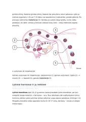 Placenta ir jos reikšmė besivystančiam vaisiui konspektas 5 puslapis