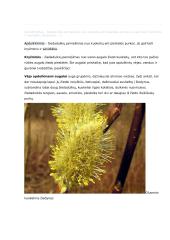 Sėkloms dygti reikalingos sąlygos konspektas 3 puslapis