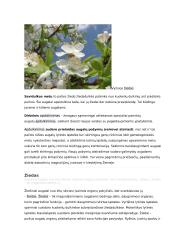 Sėkloms dygti reikalingos sąlygos konspektas 6 puslapis