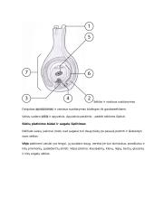 Sėkloms dygti reikalingos sąlygos konspektas 9 puslapis