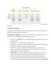 Genų ir chromosomų mutacijos konspektas 2 puslapis